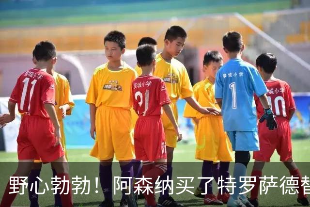 野心勃勃！阿森纳买了特罗萨德替身还不满足，还要8500万豪砸新姆巴佩