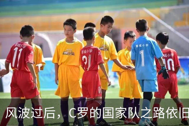 风波过后，C罗的国家队之路依旧光明